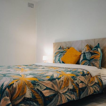 נים Superbe Appartement 32M2 Quartier Calme 800M Des Arenes מראה חיצוני תמונה