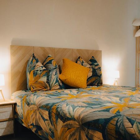 נים Superbe Appartement 32M2 Quartier Calme 800M Des Arenes מראה חיצוני תמונה